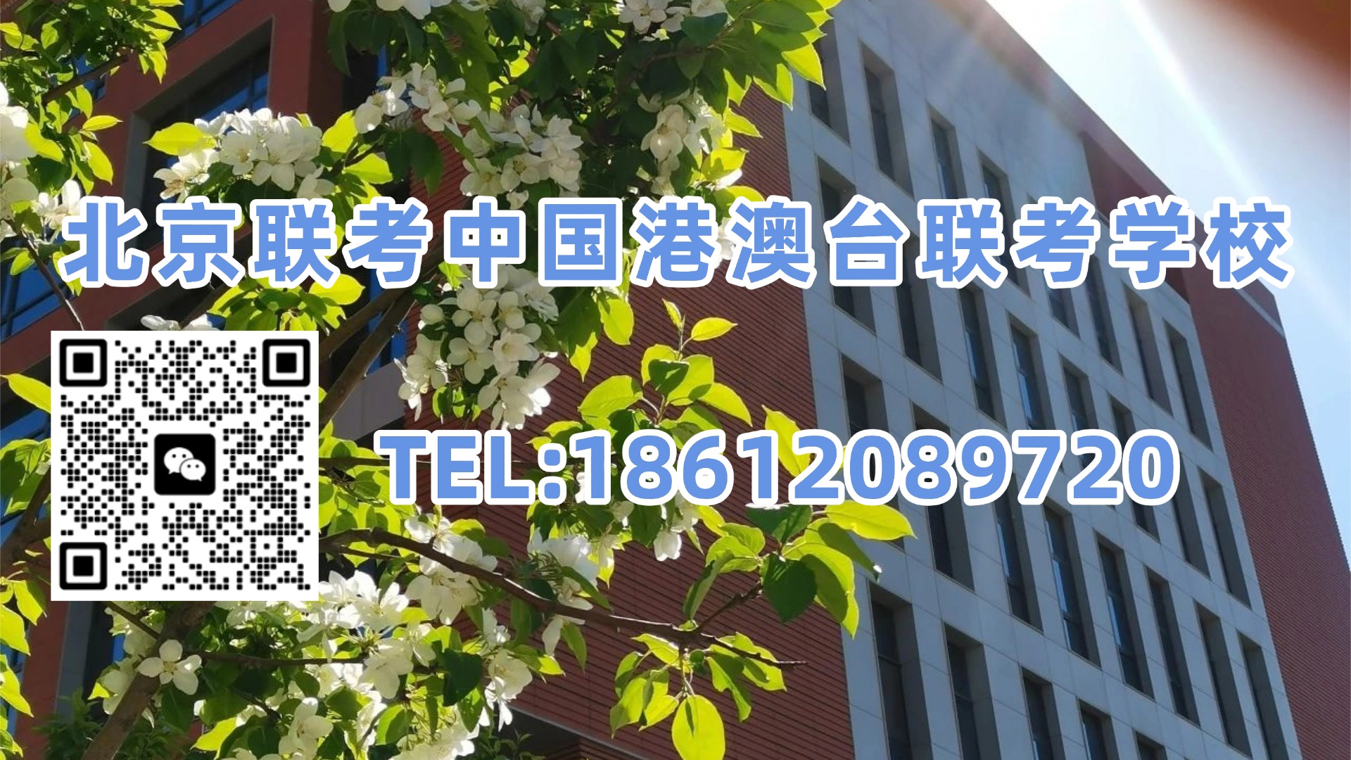 1783045301823249.jpg